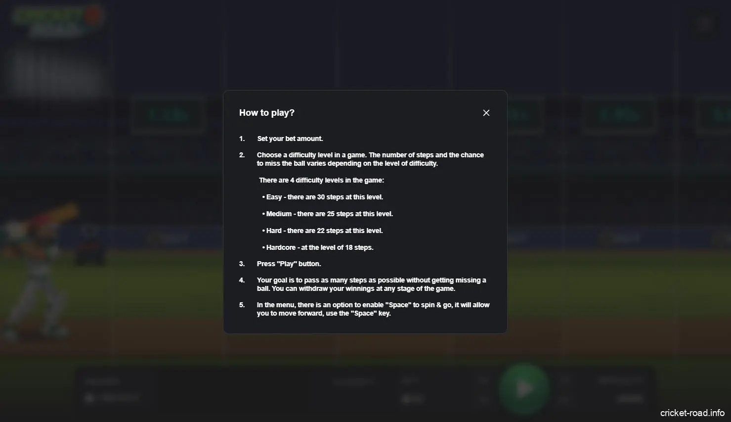 Screenshot of instructions for playing Cricket Road India