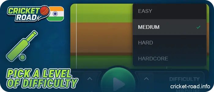 Determine the level of risk in Cricket Road India