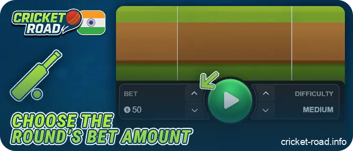 Enter your bet amount at Cricket Road online
